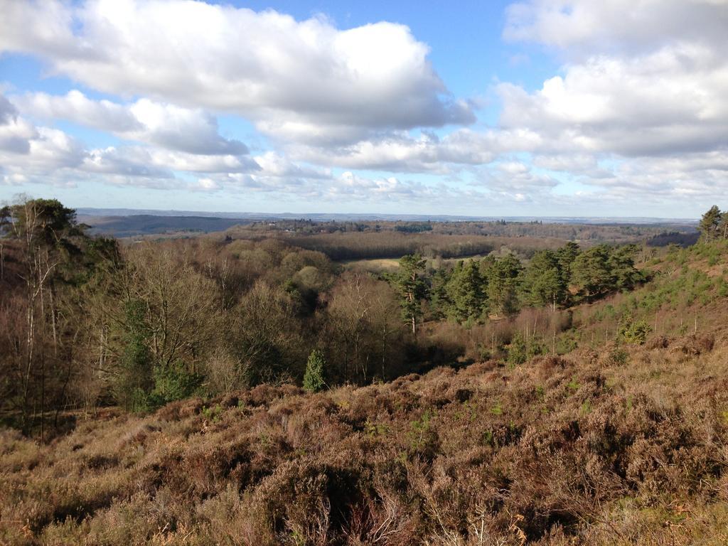 The Old Cook'S House Villa Hindhead Ruang foto